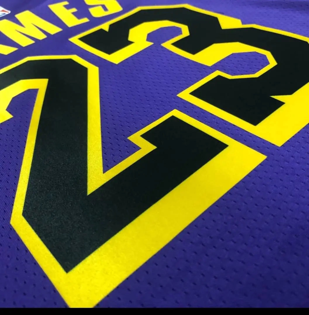 Limited Edition Purple Lakers embroidered Jersey Set -LebronJames #23- Jordan NBA Collection Gorilla fits