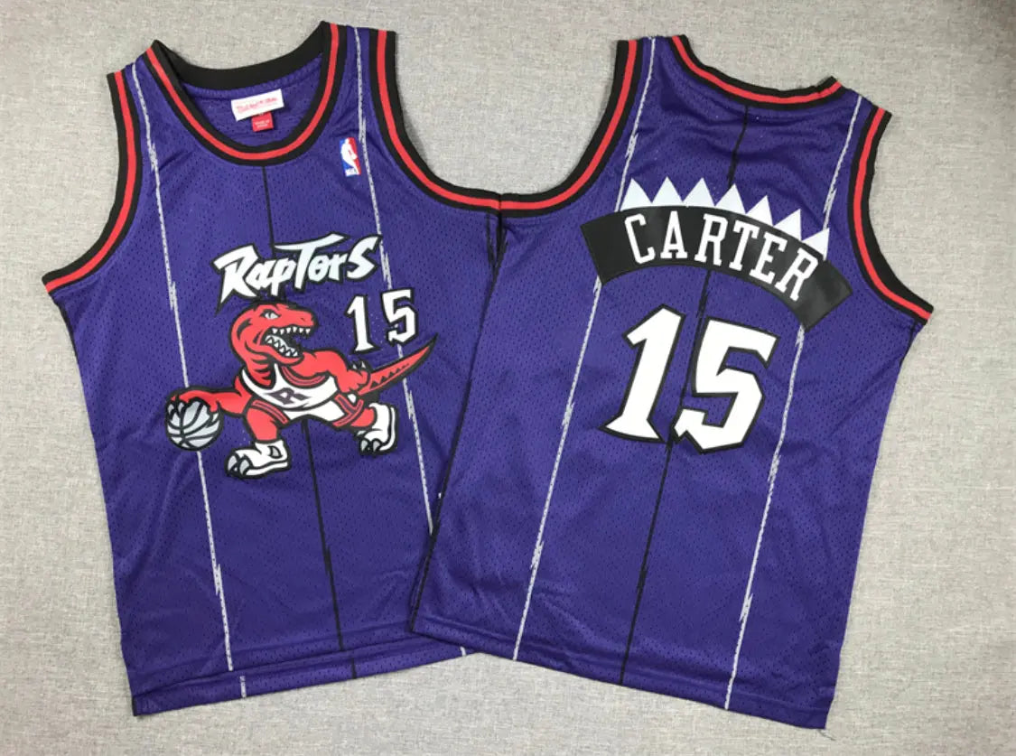 Vince carter #15 NBA Toronto raptors jerseyPurpleAdultembroidered